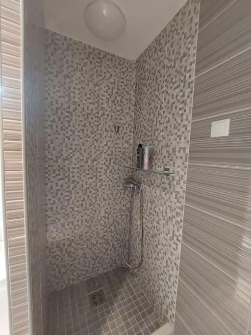 Erzsebet Apartman, Free Parking بودابست المظهر الخارجي الصورة
